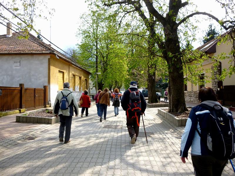 P1100988.JPG
