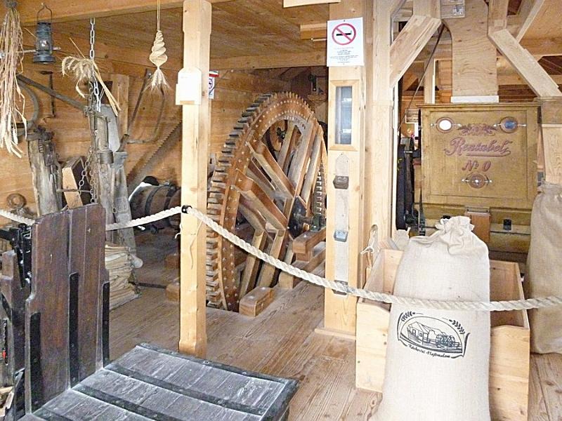 P1110076.JPG