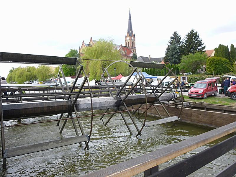 P1110092.JPG