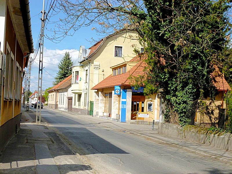 P1110126.JPG