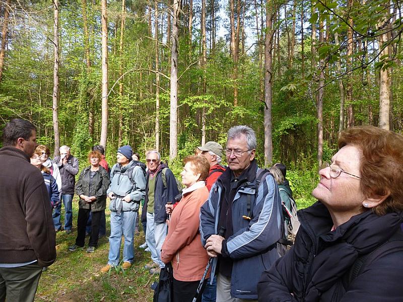 P1110164.JPG