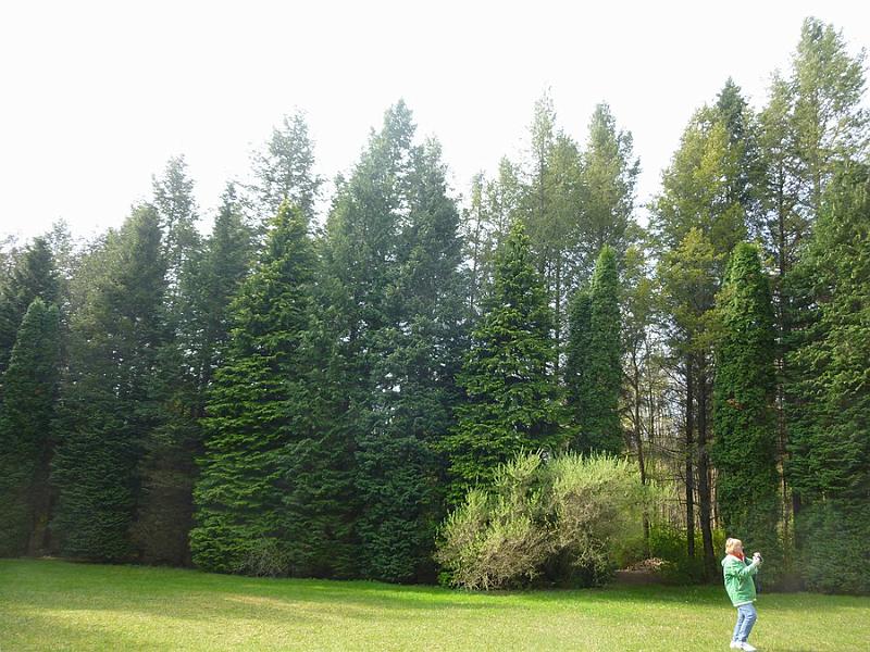P1110173.JPG