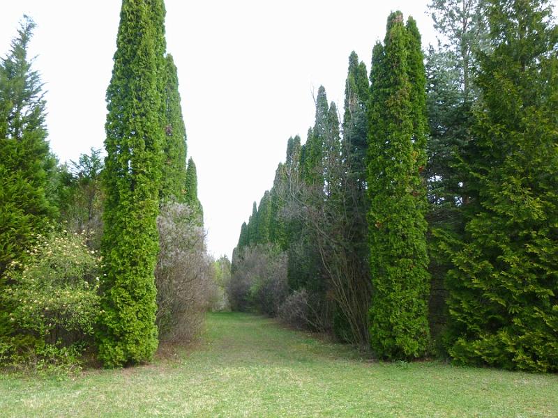 P1110176.JPG
