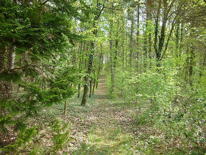 P1110187.JPG