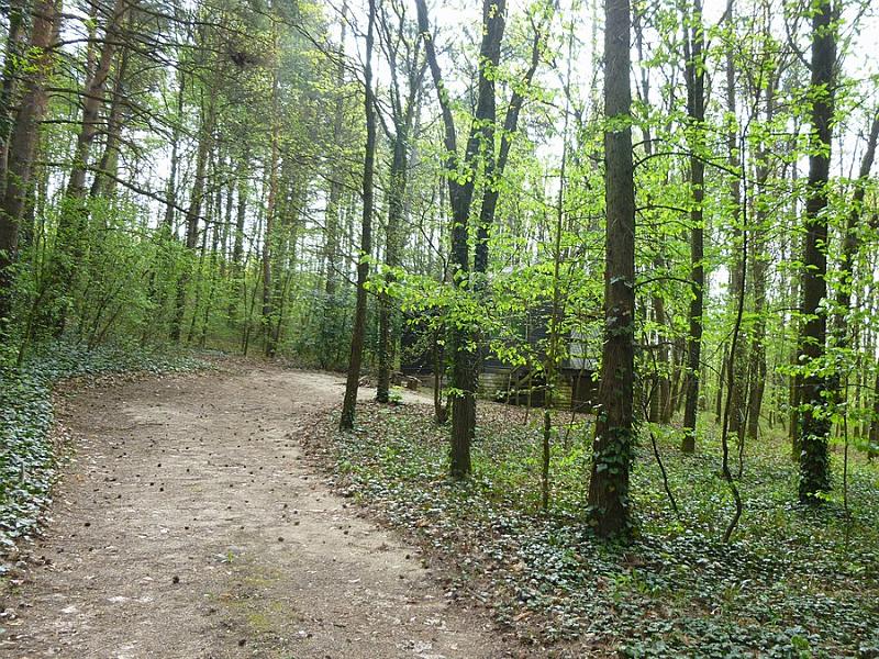 P1110188.JPG