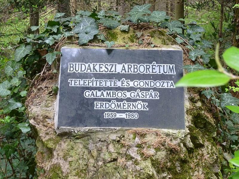 P1110195.JPG