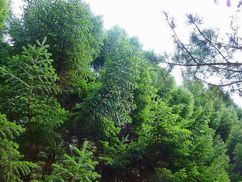 P1110197.JPG