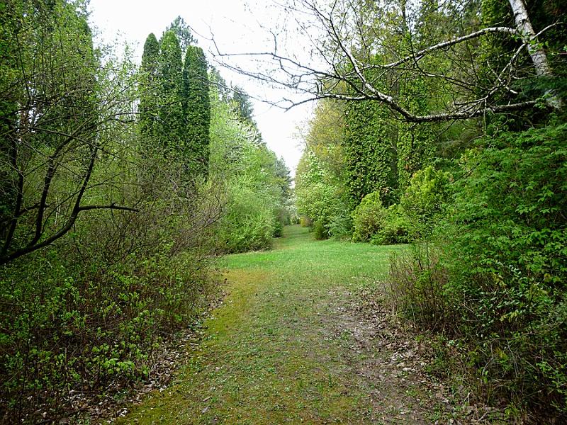 P1110198.JPG
