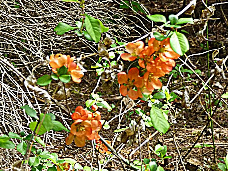 P1110201.JPG