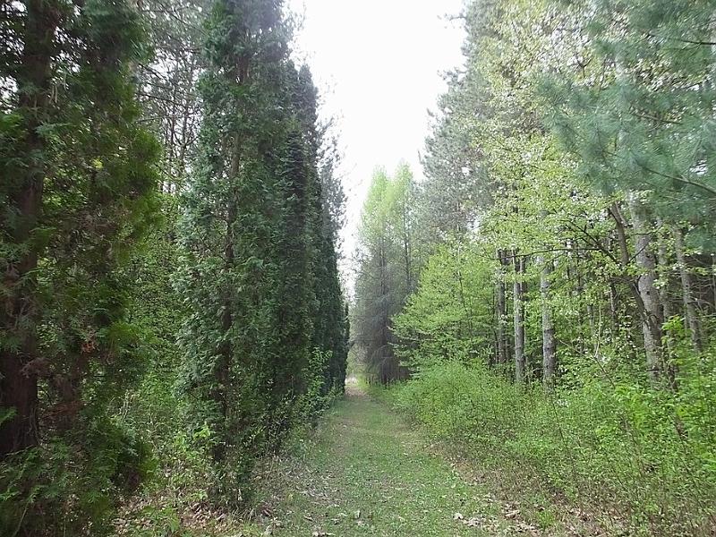 DSCF0312.JPG