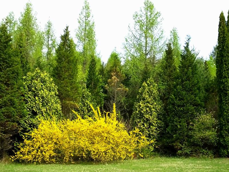 DSCF0315.JPG