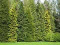 DSCF0309