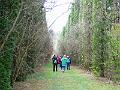 DSCF0316