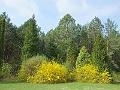 DSCF0318