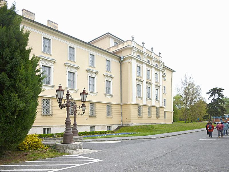 P1110224.JPG