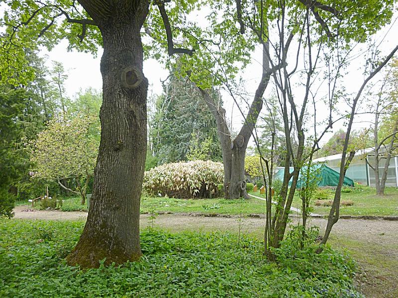 P1110229.JPG