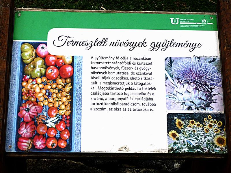 P1110234.JPG