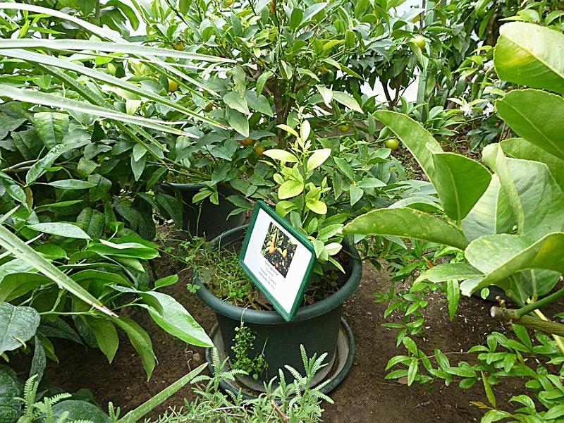 P1110243.JPG