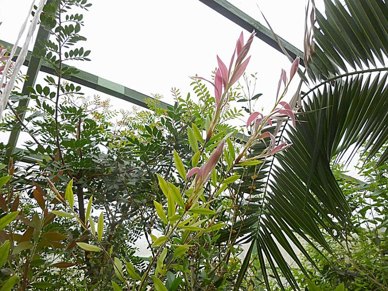 P1110244.JPG