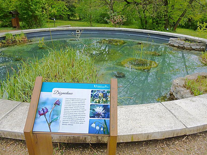 P1110255.JPG