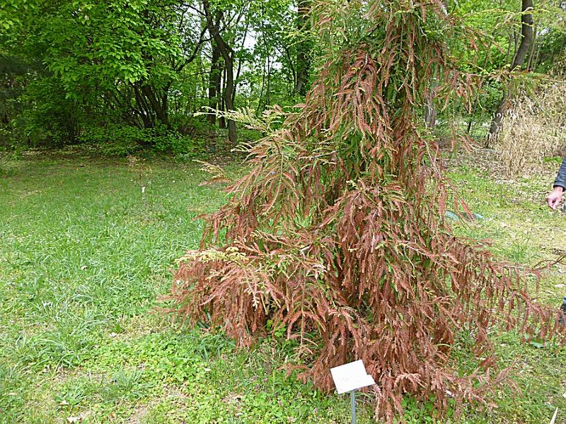 P1110256.JPG