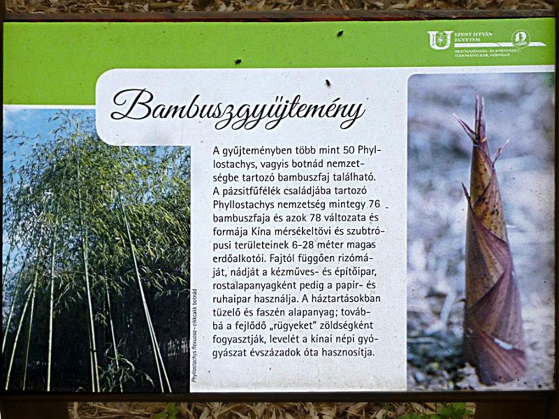 P1110257.JPG