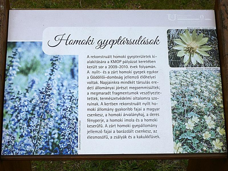 P1110261.JPG
