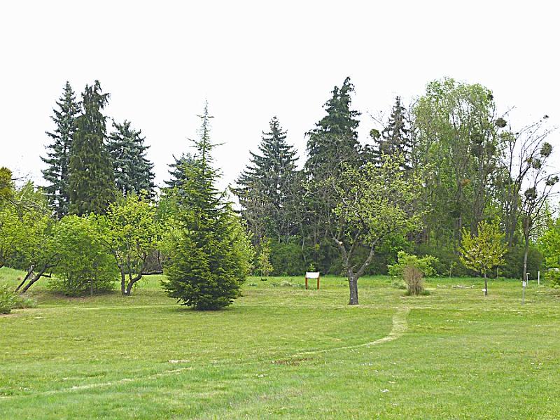 P1110271.JPG