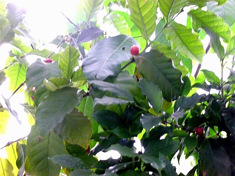 P1110276.JPG