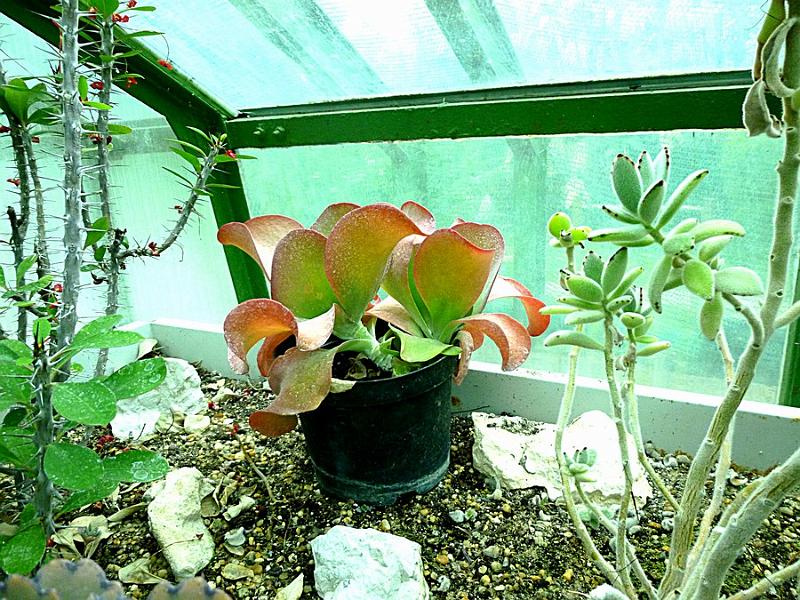 P1110280.JPG