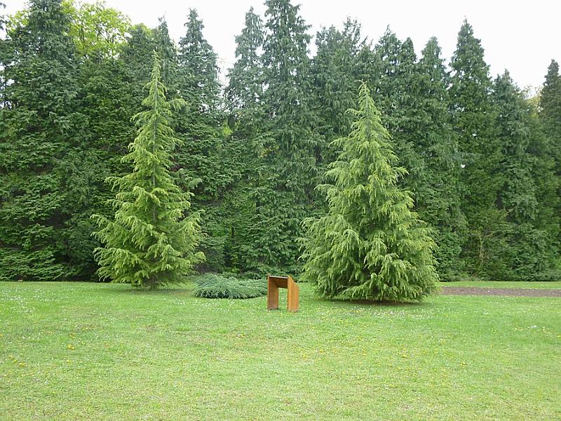 P1110297.JPG