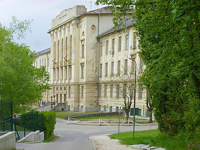 P1110299.JPG