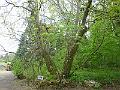 P1110231