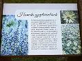 P1110261
