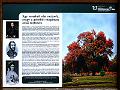 P1110268