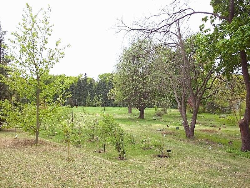DSCF0338.JPG