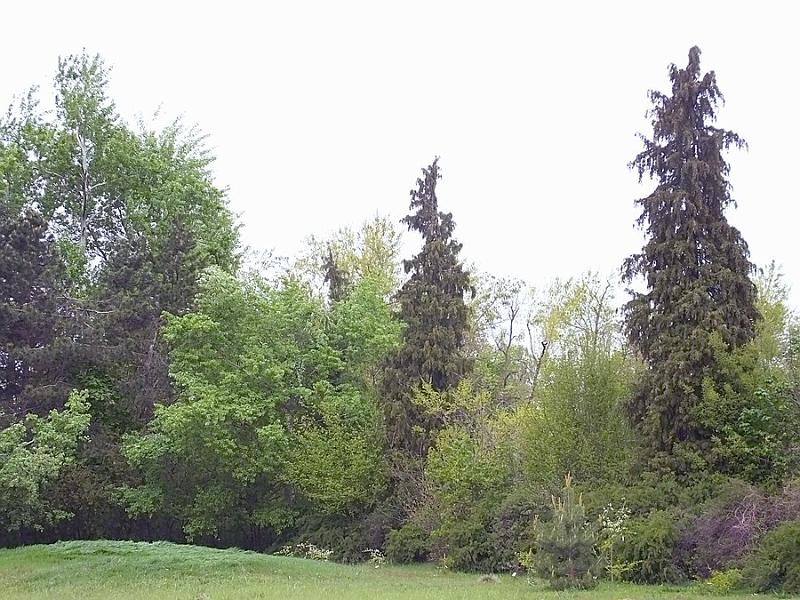 DSCF0339.JPG