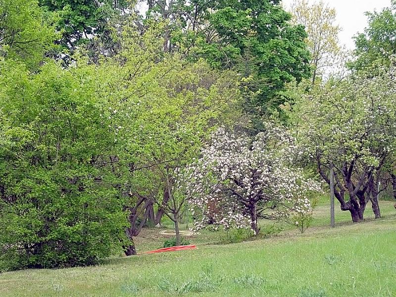 DSCF0340.JPG