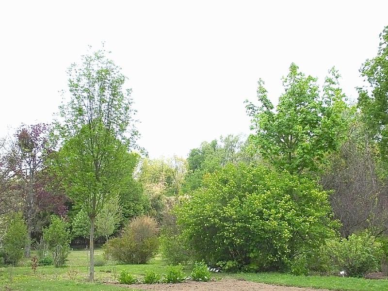 DSCF0343.JPG