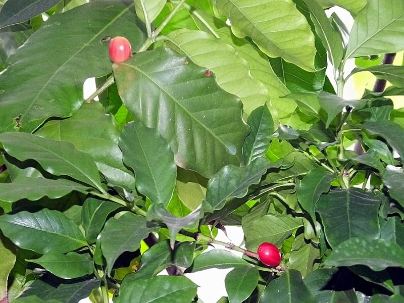 DSCF0344.JPG