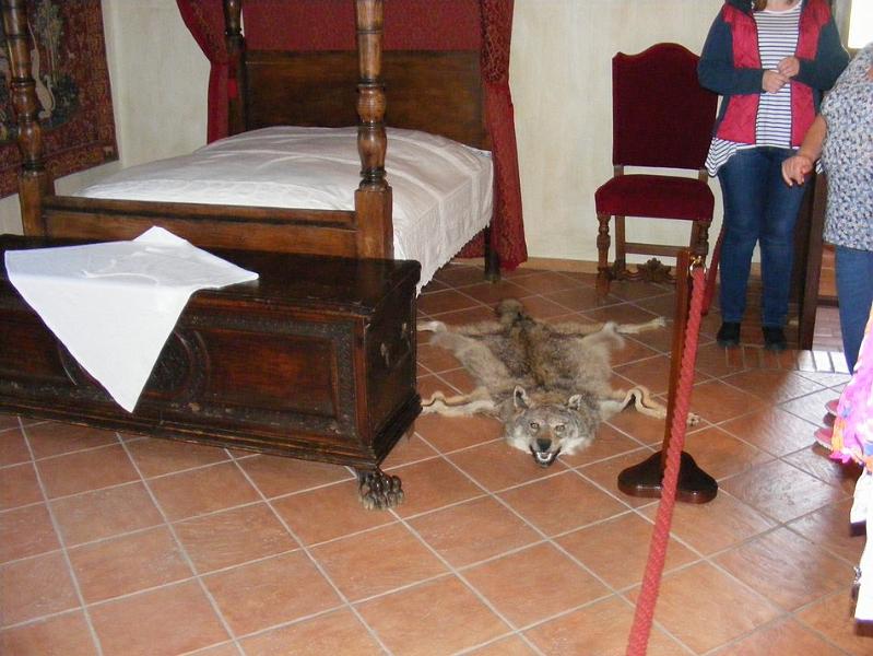 DSCF1430.JPG