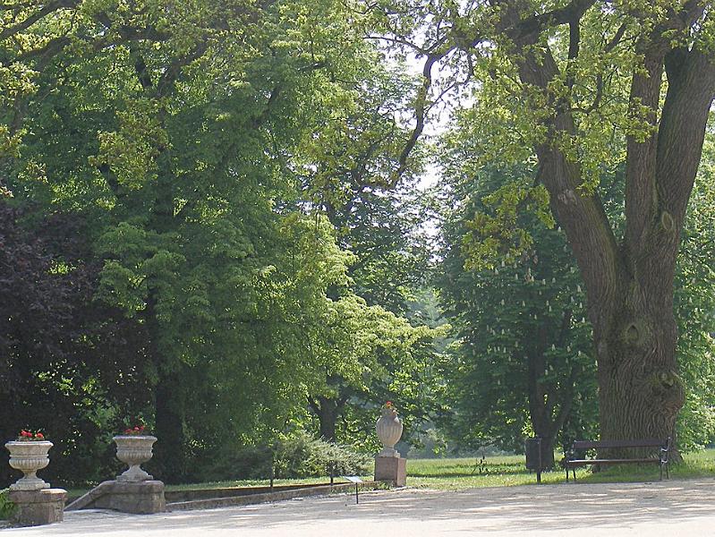 DSCF1492.JPG