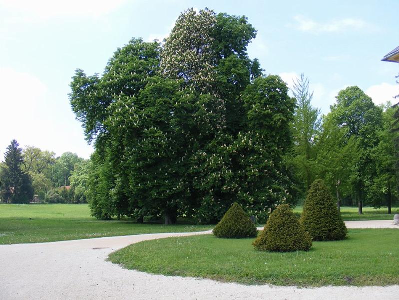 DSCF1502.JPG