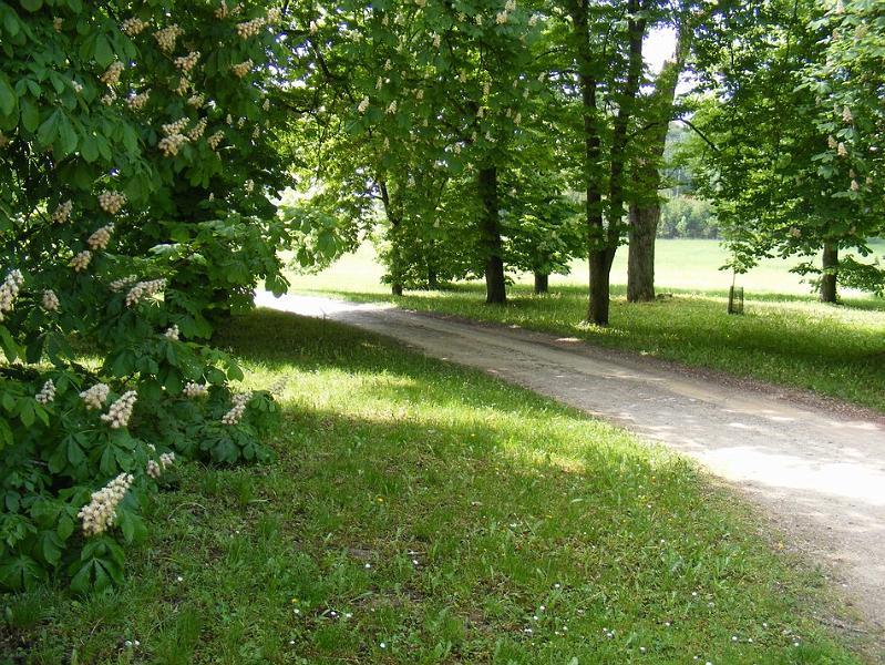 DSCF1507.JPG