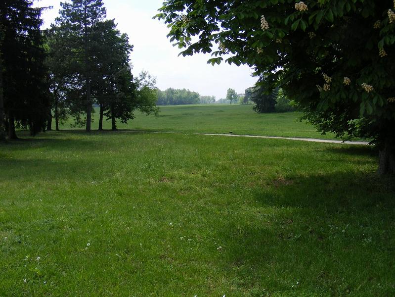 DSCF1509.JPG