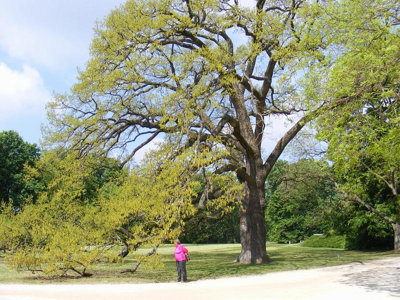 DSCF1523.JPG