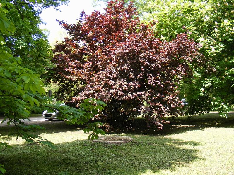 DSCF1524.JPG
