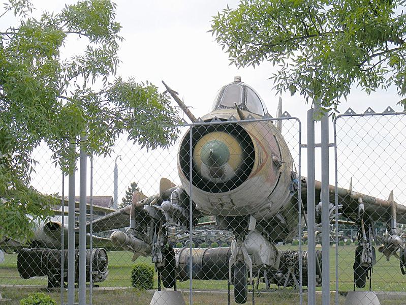 DSCF1561.JPG