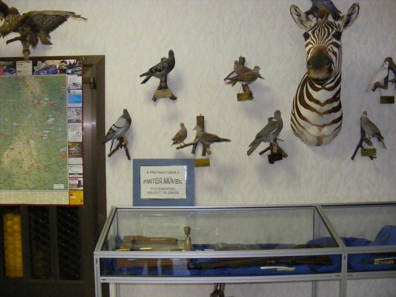 DSCF1575.JPG