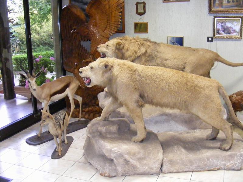 DSCF1592.JPG